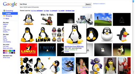 Google Image Search