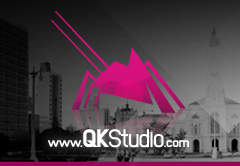 qkstudio_seleccionada_indiasoft_2011_mini