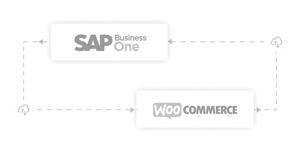 Pisopak SAP + Woocommerce