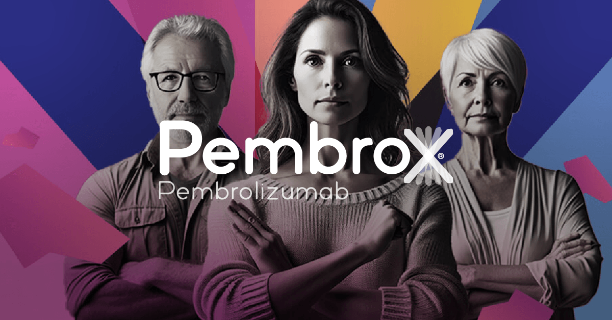 imagen-destacada-pembrox-portfolio-qkstudio