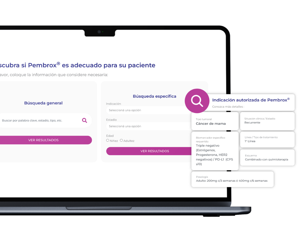 pembrox-portfolio-qk-filtros