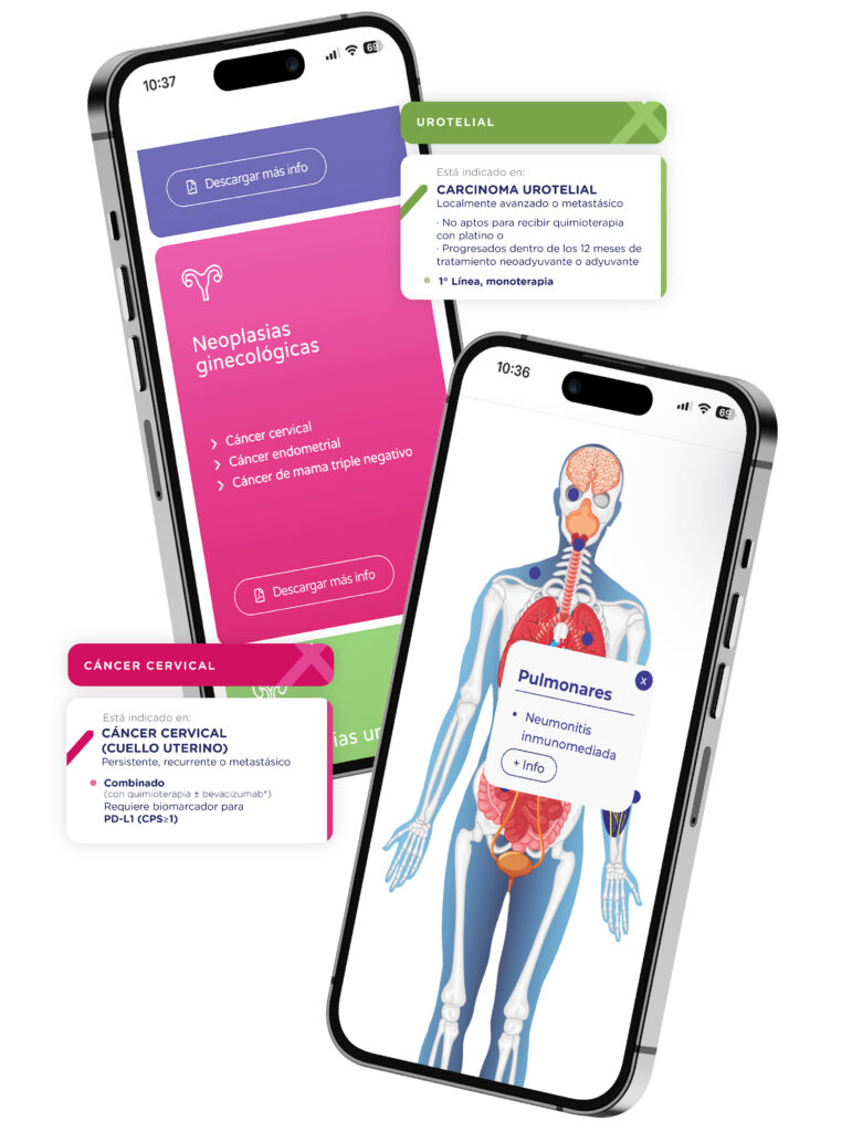 pembrox-portfolio-qk-interactivo