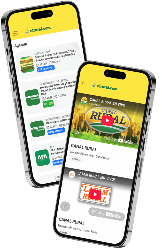 celular-elrural-protfolio-qk-app--canal-elrural-2 (1)