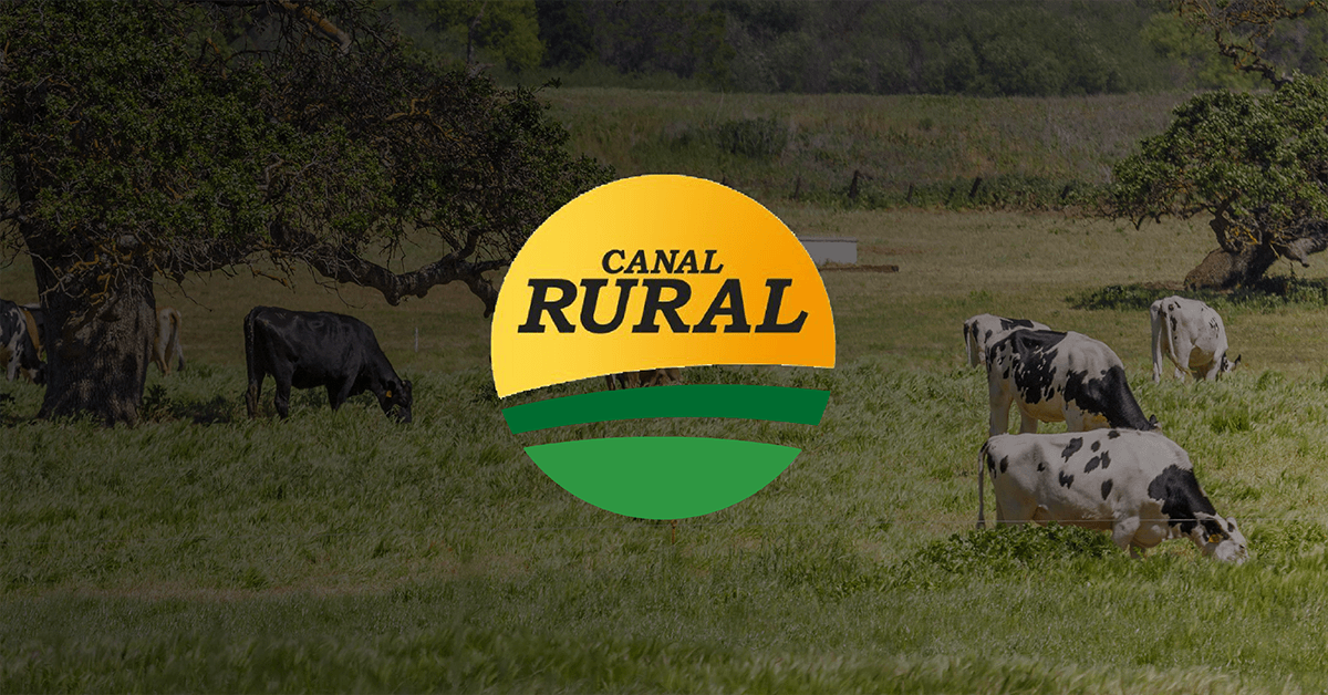 destacada-elrural-portfolio-qk (1)